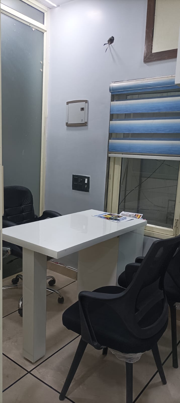 WhatsApp Image 2026-02-18 at 14.20.12